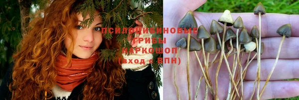 СК Балабаново