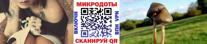 где продают наркотики  Верхнеуральск  Галлюциногенные грибы GOLDEN TEACHER 